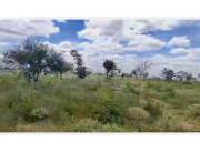 4.000 HECTAREAS DE CAMPO EN ZONA ESTEBAN MARTINEZ - CHACO