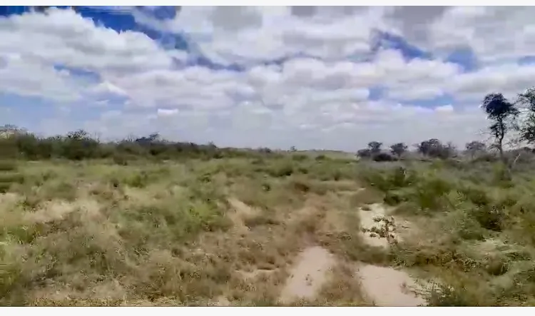 4.000 HECTAREAS DE CAMPO EN ZONA ESTEBAN MARTINEZ - CHACO — foto 2