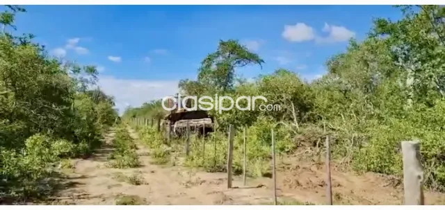 4.000 HECTAREAS DE CAMPO EN ZONA ESTEBAN MARTINEZ - CHACO — foto 3