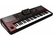 Korg Pa1000 61-Key Professional Arranger