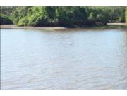 Vendo 3.586 has. s/Ruta 9 Transchaco – Pozo Colorado