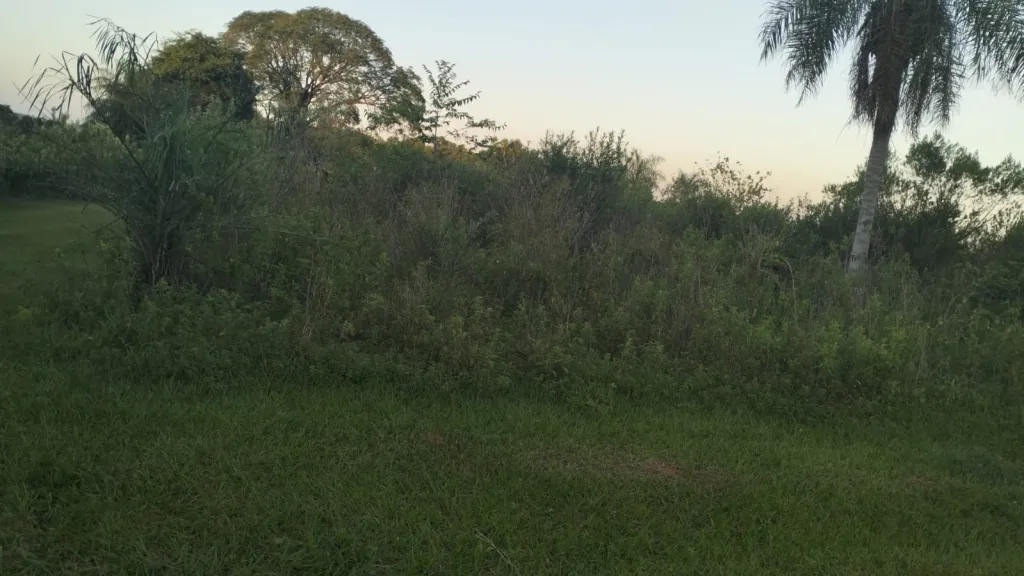 Terreno en venta en Parque Arami, Altos — foto 3
