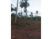 Venta de Fraccionamiento en Itá, Central