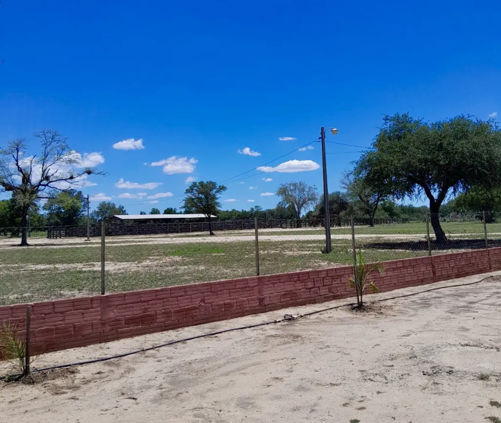 Campo Agrícola Ganadero en Neuland - 1.600 Ha. — foto 2