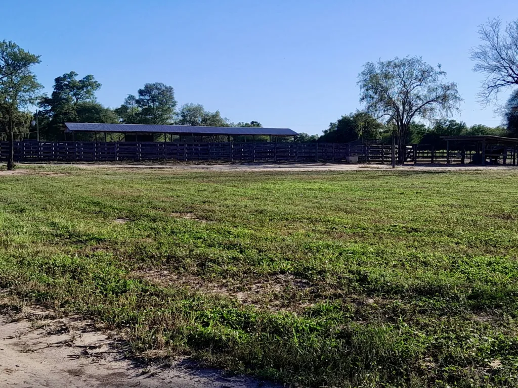 Campo Agrícola Ganadero en Neuland - 1.600 Ha. — foto 3