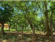 VENDO TERRENO EN LIMPIO ZONA SALADO COD 5387