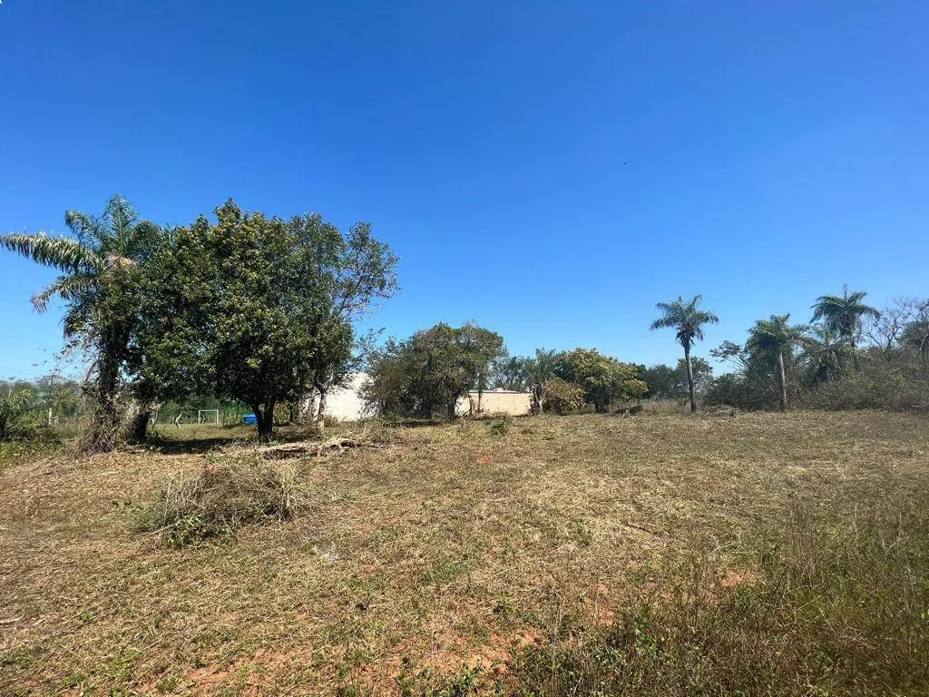 VENDO TERRENOS EN LUQUE TARUMANDY — foto 2