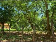 VENDO TERRENO EN LIMPIO ZONA SALADO COD 5387