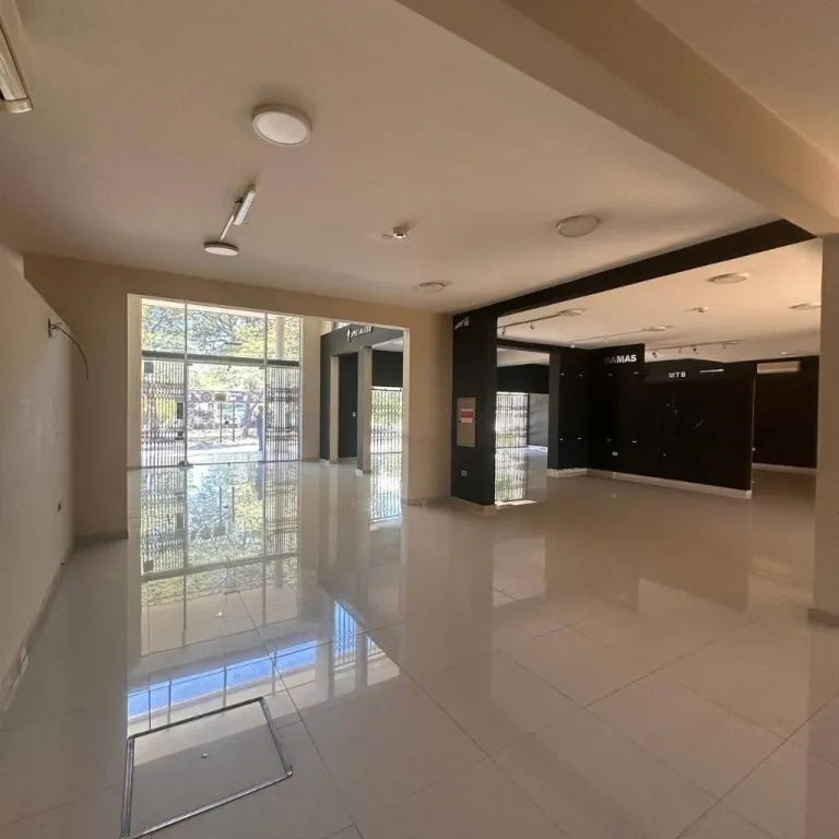 VENDO PROPIEDAD COMERCIAL EN VILLA AURELIA SOBRE MCAL LÓPEZ — foto 3