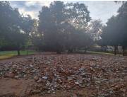 VENDO TERRENO EN LUQUE, CUARTO BARRIO COD 5771