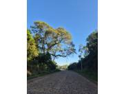 IN SELLING COMMERCIAL PROPERTY IN ITAUGUA