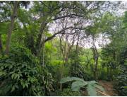 HOUSE FOR SALE IN CERRO REAL - CAACUPE