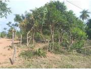 PROPIEDAD EN VENTA EN NUEVA COLOMBIA, CORDILLERA