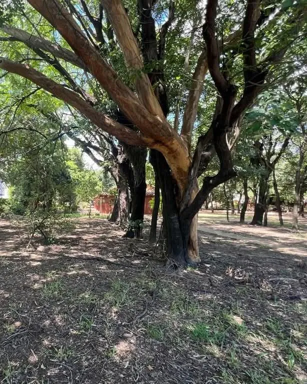 🏗️ ¡PROYECTO DE ALTO IMPACTO! VENDO TERRENO DE 4.545m² sobre Avda. Artigas 🚀 💰 PRECIO — foto 2
