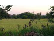 Vendo Terreno de 13 hectareas sobre ruta 1 km 17 zona Supermercado Box mayorista Capiata