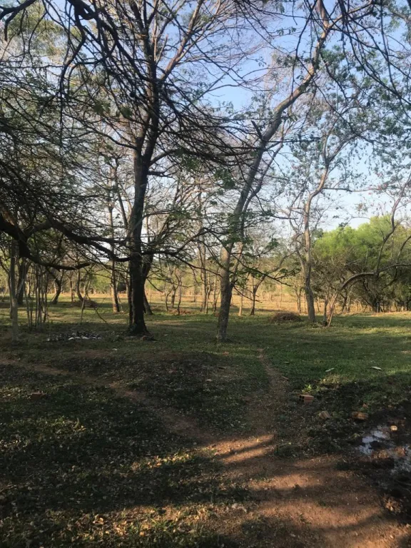 TOBATI: 80 HAS EN VENTA, ENERGIA ELECTRICA, GALLINERÍA, CRYTO MINING, ENGORDE ETC. — foto 3