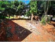 Terreno fernando Sur