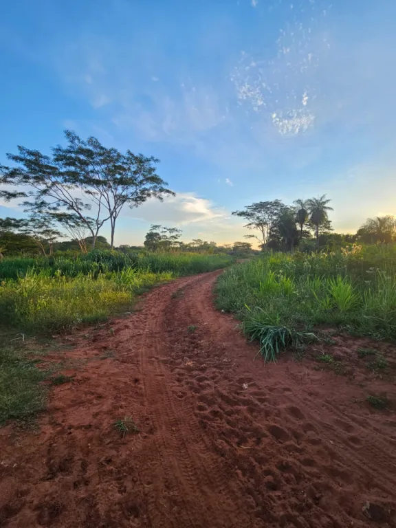 Terreno en venta en Altos de Ypane, Ypané — foto 2