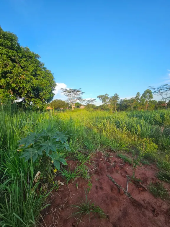 Terreno en venta en Altos de Ypane, Ypané — foto 3