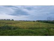 Vendo granja de 37.5 has. en Yguazu – Alto Parana