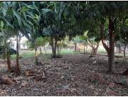 Vendo terreno cod 5894