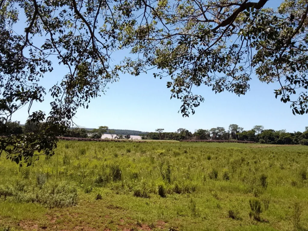 Vendo 10.3 ha con Vista al rio — foto 2