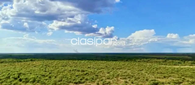 Campo en venta en Punta Riel, Teniente Primero Manuel Irala Fernández — foto 2