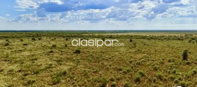 Campo en venta en Punta Riel, Teniente Primero Manuel Irala Fernández — foto 3