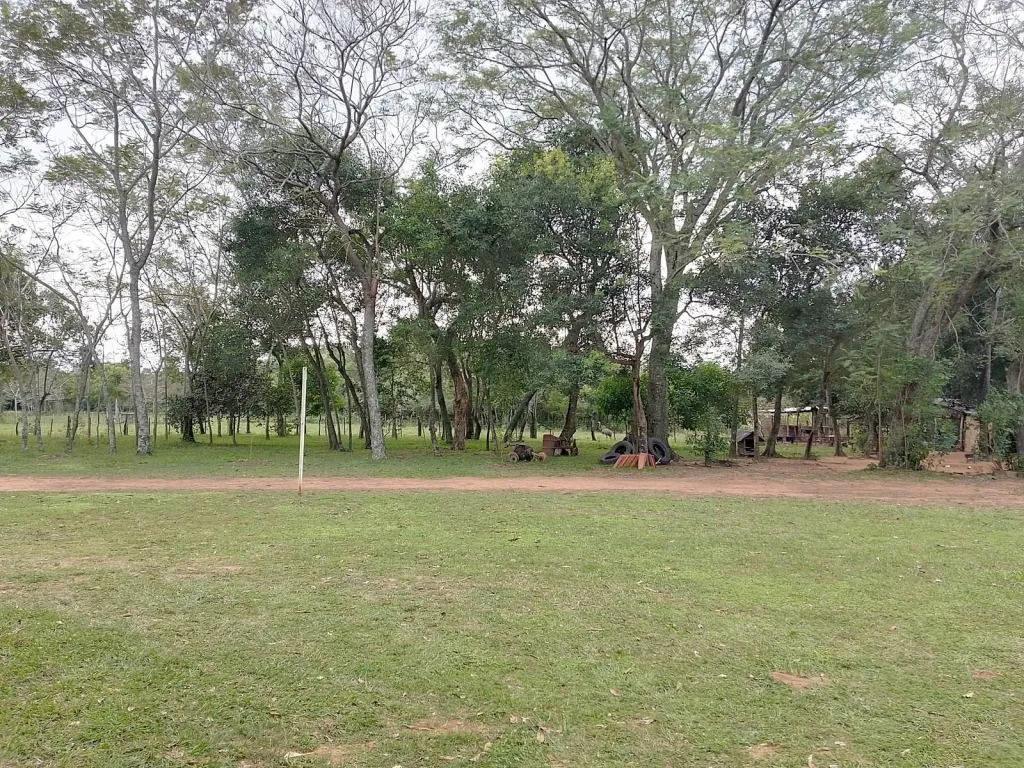 Granja en Pirayú sobre Ruta Pavimentada - 19 Ha. — foto 3