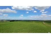 Campo Agrícola Mecanizado en San Rafael del Paraná - 412 Ha.