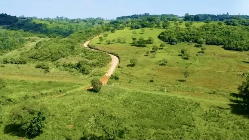Campo Ganadero en Trinidad - 88 Ha. — foto 2