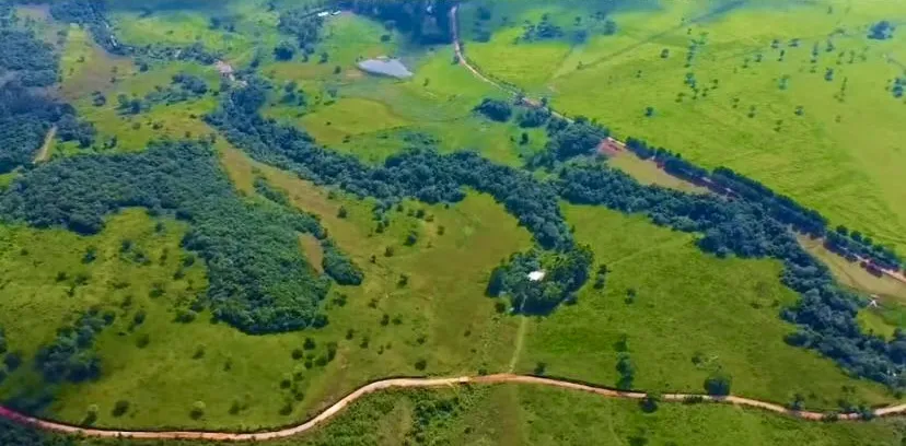 Campo Ganadero en Trinidad - 88 Ha. — foto 3