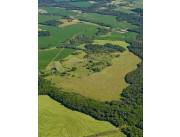 Campo Agrícola / Ganadero en General Artigas - 96 Ha.