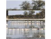 Estancia 27.066 hectáreas orientada a Ganadería. Consulte. Se vende la totalidad Cdo/S/Int