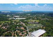 TERRENO COMERCIAL SOBRE AV. AVELINO MARTÍNEZ – SAN LORENZO