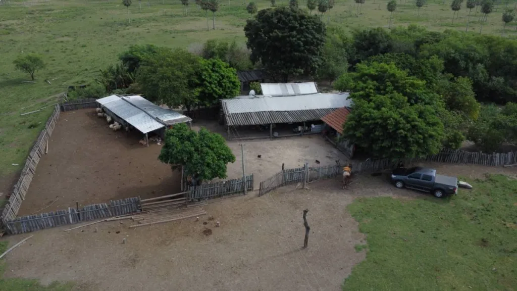 VENDO CAMPO DE 1.200 HECTÁREAS EN ÑEEMBUCÚ — foto 3
