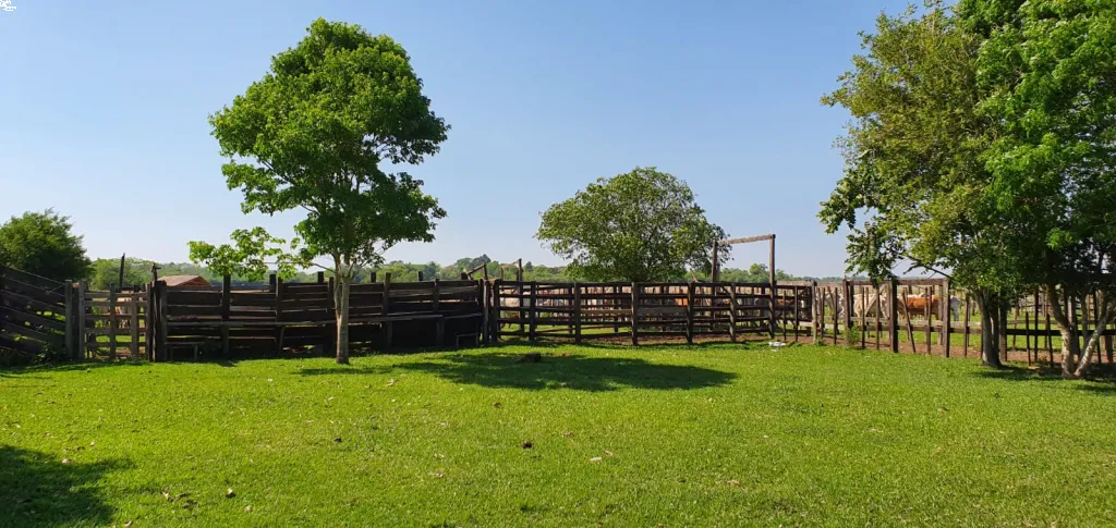EN VENTA CAMPO 170 HA. - ISLA ALTA ITAPÚA — foto 3