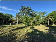 VENDO 2 TERRENOS EN SAN BERNARDINO - Ciervo Kua ‼️‼️