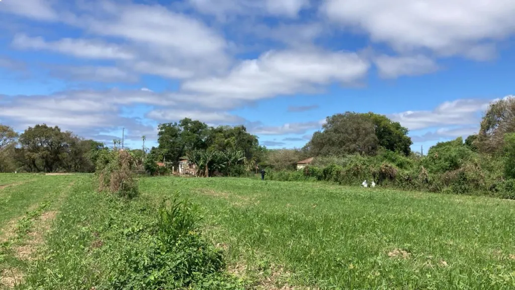 Terreno frente al río Pilcomayo en Nanawa, frente a Clorinda 6.586 m2 — foto 3