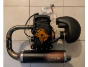 vendo Atom 80 /motor Vittorazi - paramotor