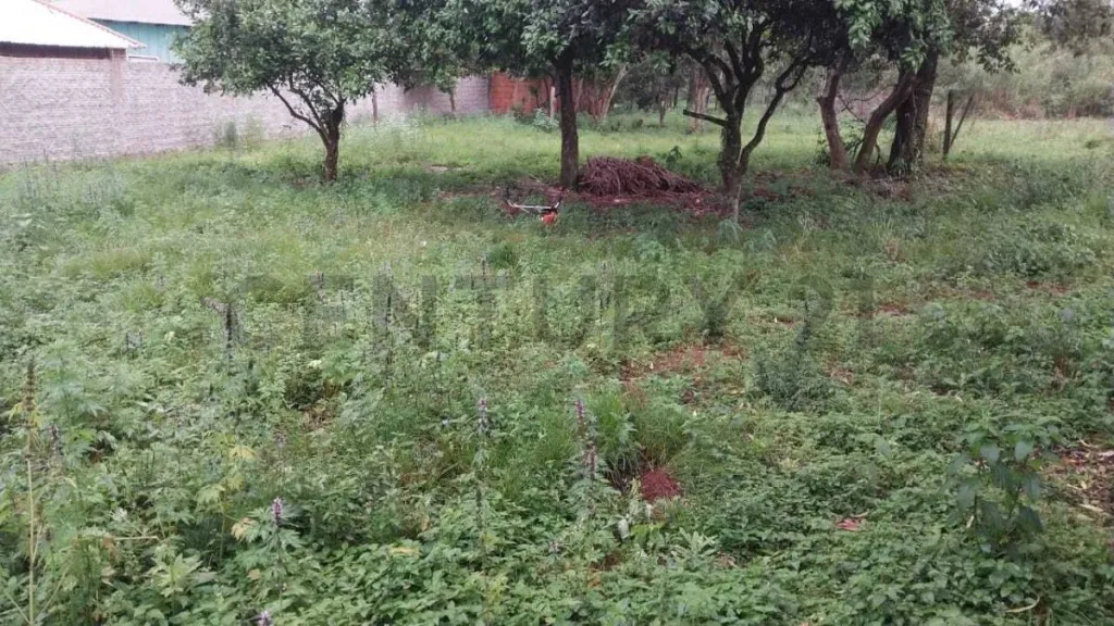 Venta de terreno en Tres Fronteras, Pte. Franco — foto 2