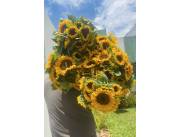 VENTA DE GIRASOLES. Producción 100% nacional 🇵🇾