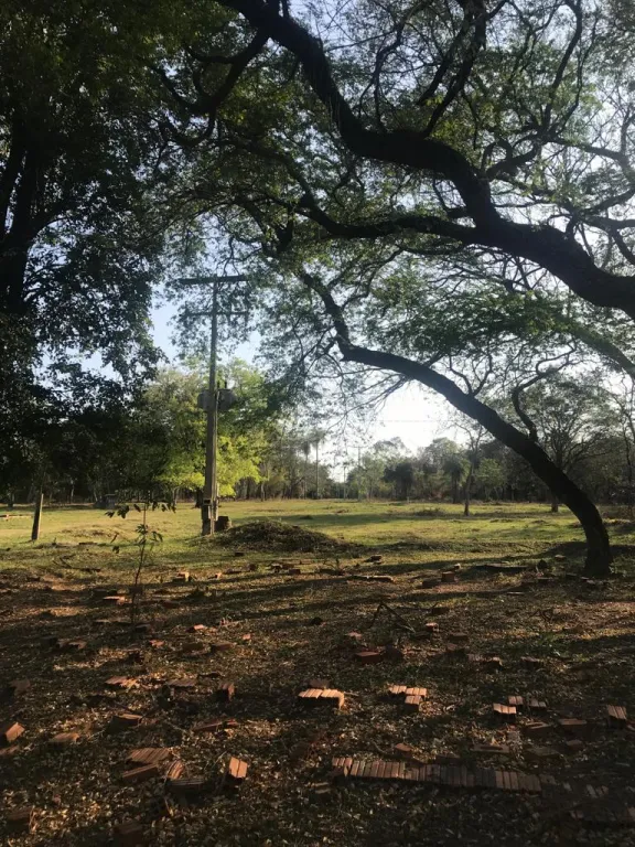 VENDO granja de 80 hs en Tobati con infraestructura — foto 2
