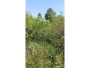 Oferta de terreno en Luque camino a Sanber zona Tarumandy