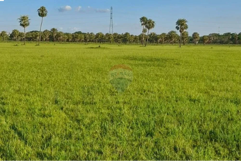 terreno nueva asuncion — foto 3