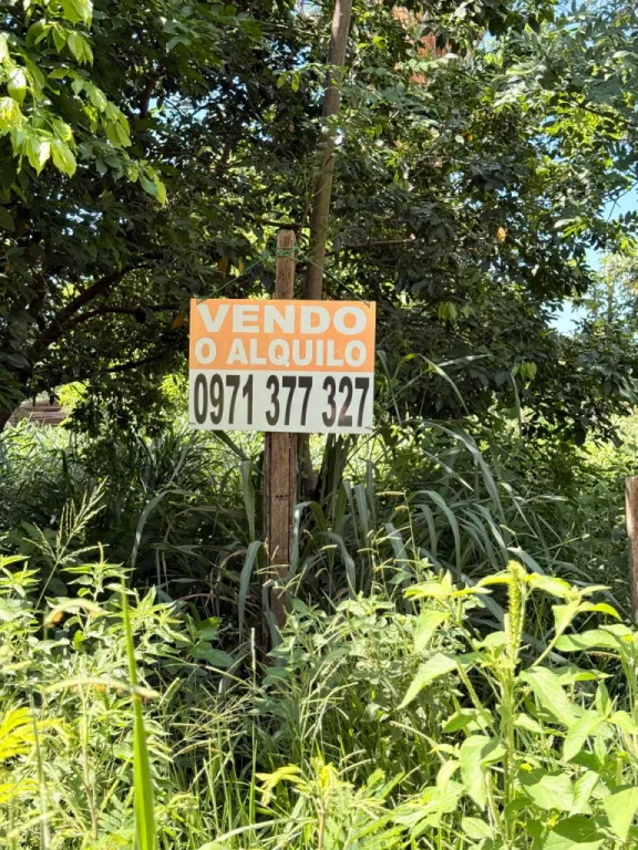 VENDO HERMOSO TERRENO EN ÑEMBY — foto 2