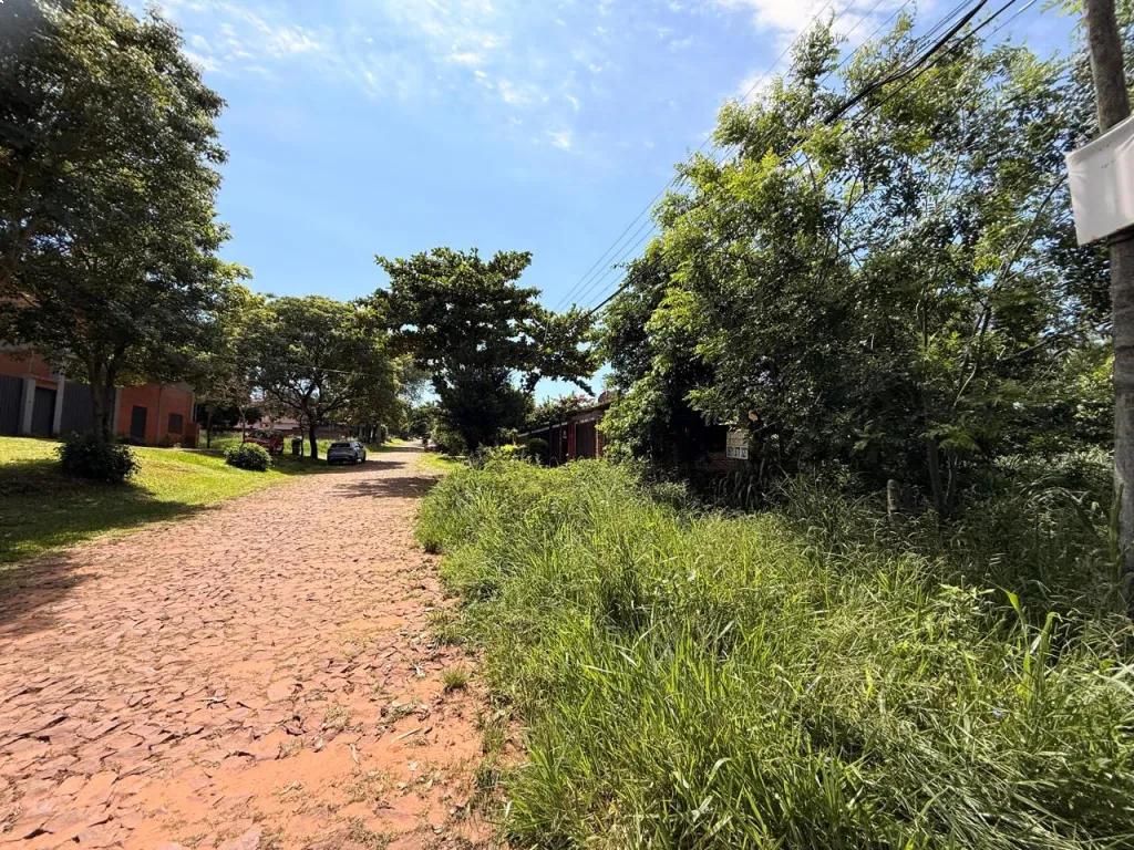 VENDO HERMOSO TERRENO EN ÑEMBY — foto 3