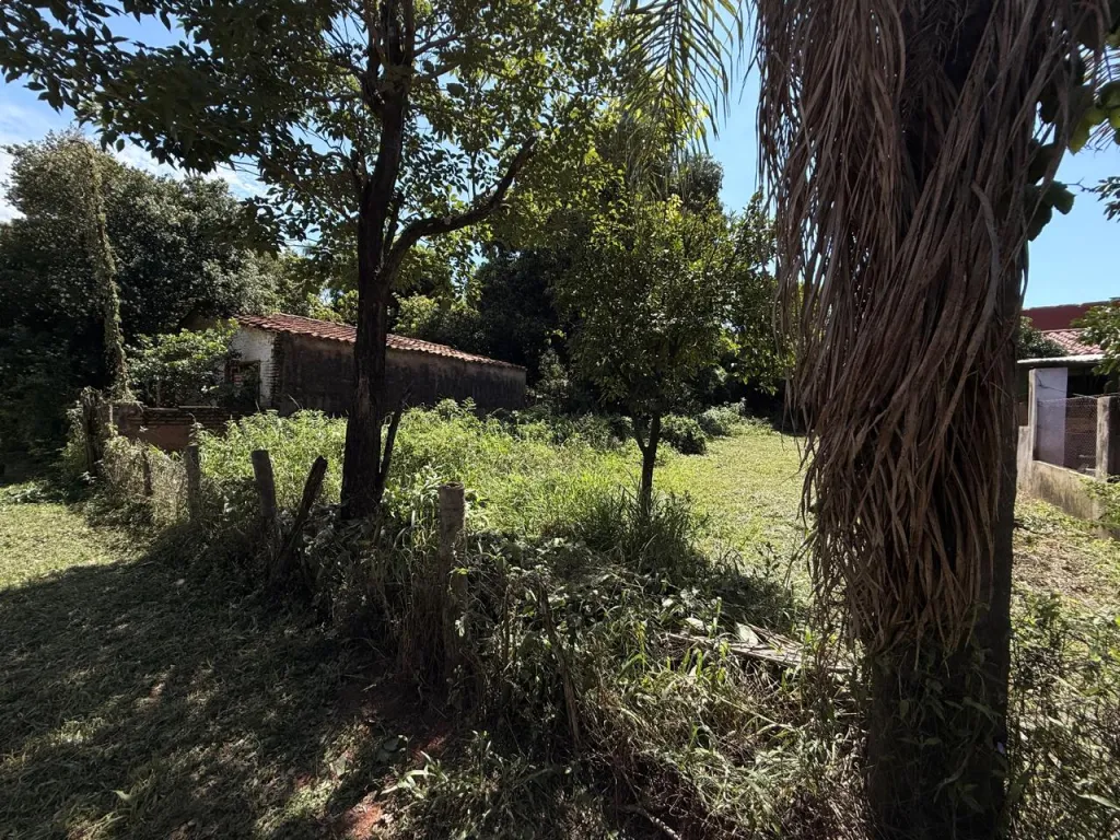 VENDO HERMOSO TERRENO EN ÑEMBY SAN CARLOS — foto 2