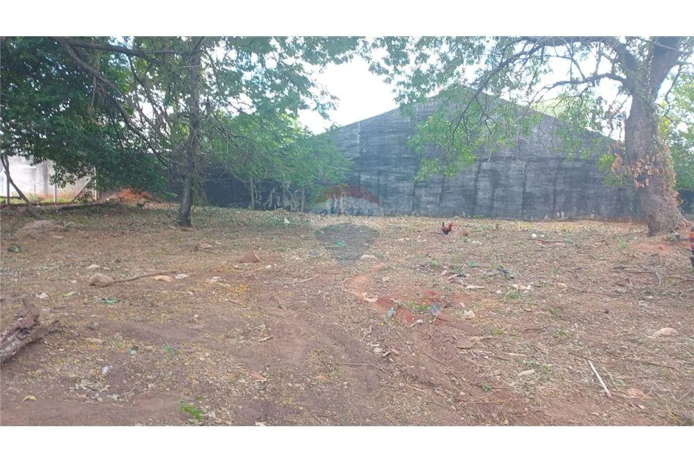 VENDO TERRENO EN LAURELTY SAN LORENZO — foto 2