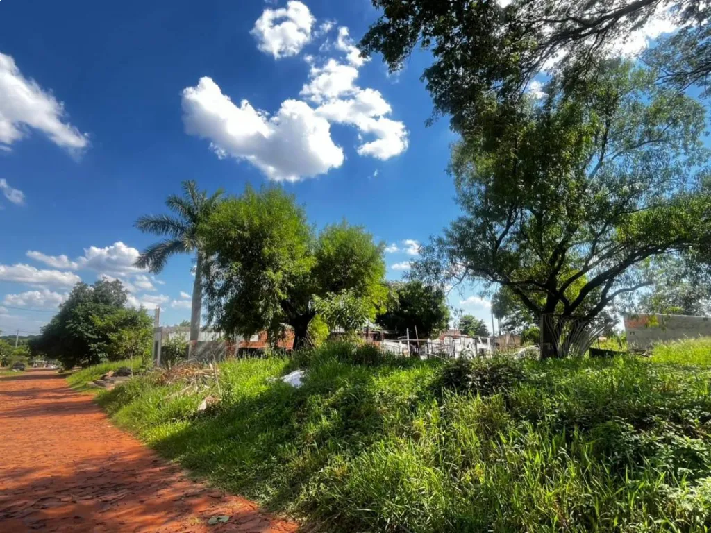 VENDO TERRENO EN ÑEMBY ZONA PA'I ÑU — foto 2